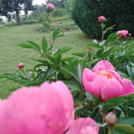 Planinska Kuca, Jagodnja *