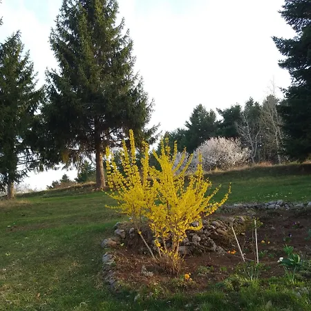 Planinska Kuca, Jagodnja Lägenhet