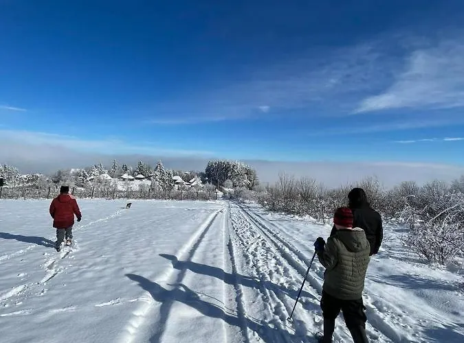 Apartament Planinska Kuca, Jagodnja *