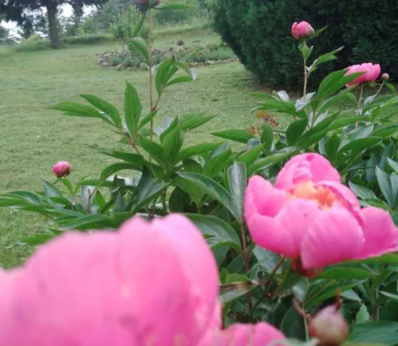 Planinska Kuca, Jagodnja *