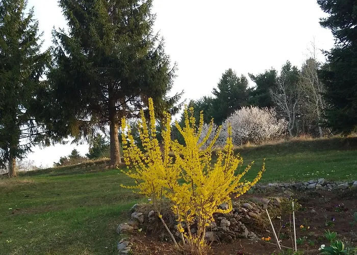 Planinska Kuca, Jagodnja Apartament